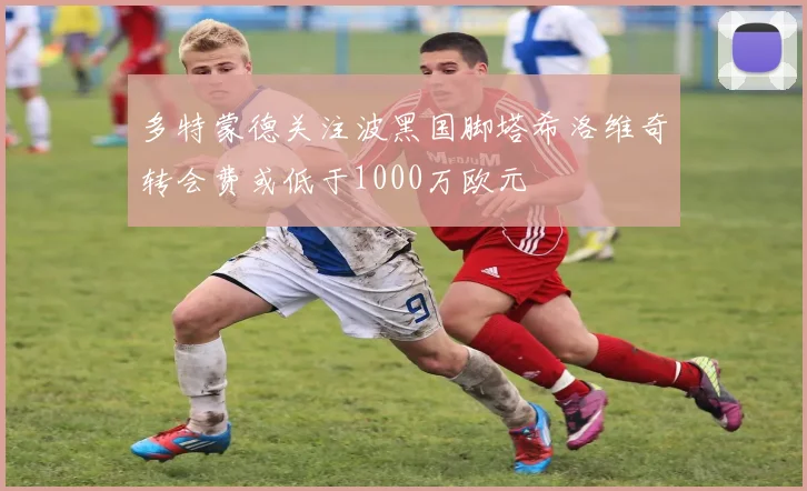 多特蒙德关注波黑国脚塔希洛维奇转会费或低于1000万欧元